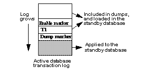 Figure 3-2 illustrates the use of dump and load with dump marker through an Active database transaction log. A transaction T 1, executed after adding the standby database, appears after the enable replication marker in the log. T 1 is included in dumps, and is loaded in the standby database after loading the dumps. Replication Server does not need to replicate it into the standby database. Transactions can be executed in the active database between the time the enable replication marker is written and the time the data in the active database is dumped. 