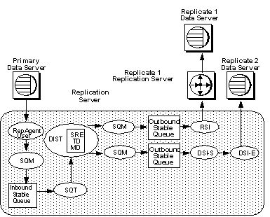 Figure 4-1 illustrates how a transaction that originates in a primary data server is sent to the primary Replication Server and subsequently distributed to a replicate Replication Server. From the primary data server, the transaction goes to the Replication Server. The Rep Agent user sends the transaction to S Q M; this transaction is stored in the inbound stable queue and then passes to S Q T. From S Q T it goes to D I S T with command filters, S R E, T D, and M D. From D I S T, the transactions are stored in the outbound stable queue and then distributed to two replicate Replication Server using the R S I and D S I dash S.