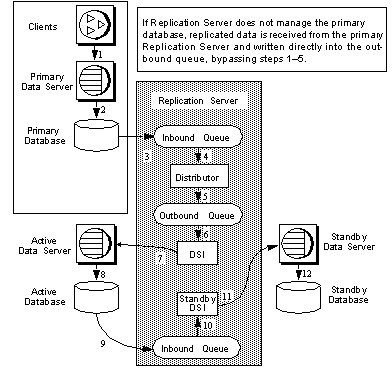 Figure 3-7 illustrates a warm standby application for a replicate database. In this example, a single Replication Server manages three databases, a primary database, the active, and standby databases for logical replicate database. The logical replicate database has subscriptions for the data in the primary database. Therefore, updates from the primary database are replicated to both the active and the standby databases. In this example, a single Replication Server manages both the primary and replicate databases. The numbers in this figure indicate the flow of transactions from client applications through the replication system in a warm standby application for a replicate database. If the Replication Server does not manage the primary database, replicated data is received from the primary Replication Server and written directly into the out dash bound queue, without passing to the inbound queue.