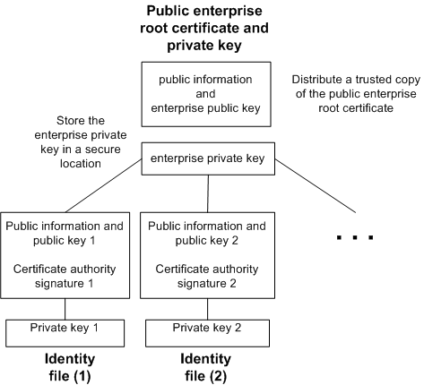 Enterprise root certificate