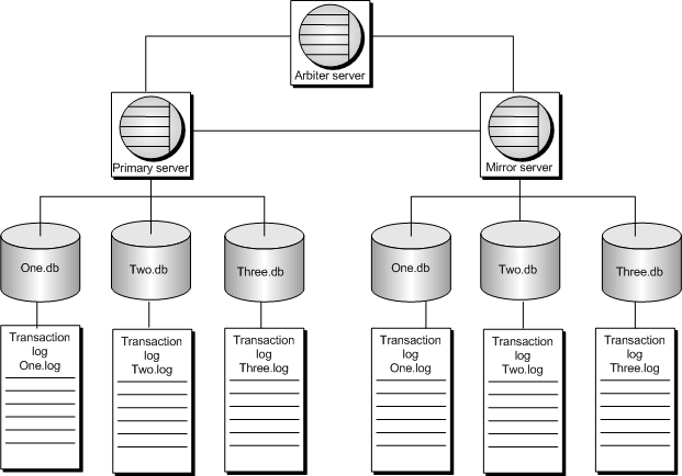 Diagram showing the mirroring system.