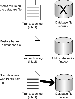 The transaction log operations are applied to the database.