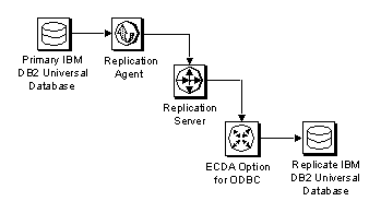 Sybase replication system components: IBM DB2 Universal Database primary database, Replication Agent, Replication Server, ECDA Option for ODBC, and IBM DB2 Universal Database replicate database.