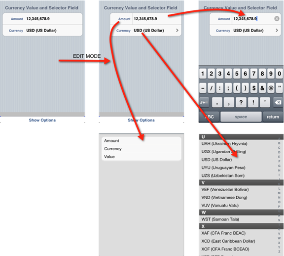 Currency Value with Selector Control