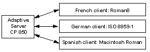 Graphic showing an Adaptive Server configured with the CP 850 character set connecting to multiple clients, each configured with different languages and character sets