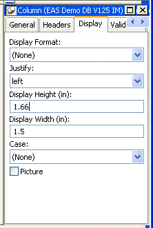 Shown is the Display tab of the Objects Details view. It has a drop down for Display Format set to None and a justify drop down set to left. Next are a Display Height text box with the entry 0 point 1 6 6 and a Width box with the entry 1 point 5. Last are a Case drop down set to None and a cleared check box labeled Picture.