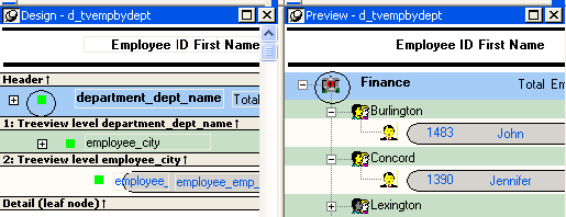 The two images show the Design View and Preview of a node.