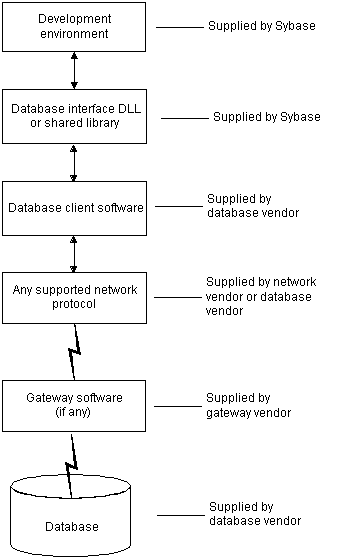 The figure shows the components of a database connection when a native database interface is used. At top is the Development environment, which is supplied by Sybase. It is connected by an arrow to a Database interface D L L or shared library supplied by Sybase. These in turn are connected to Database client software supplied by the database vendor. The client software connects to any supported network protocol supplied by a network or database vendor. The network protocol connects through Gateway software supplied by a gateway vendor, if applicable, and finally to the database, which is supplied by the database vendor.