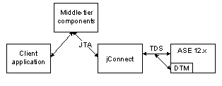 The distributed transaction management support with version 12.x contains a
                    client application going into middle tier components using JTA to go into SAP
                    jConnect.Using TDS it goes into SAP ASE 12.x.